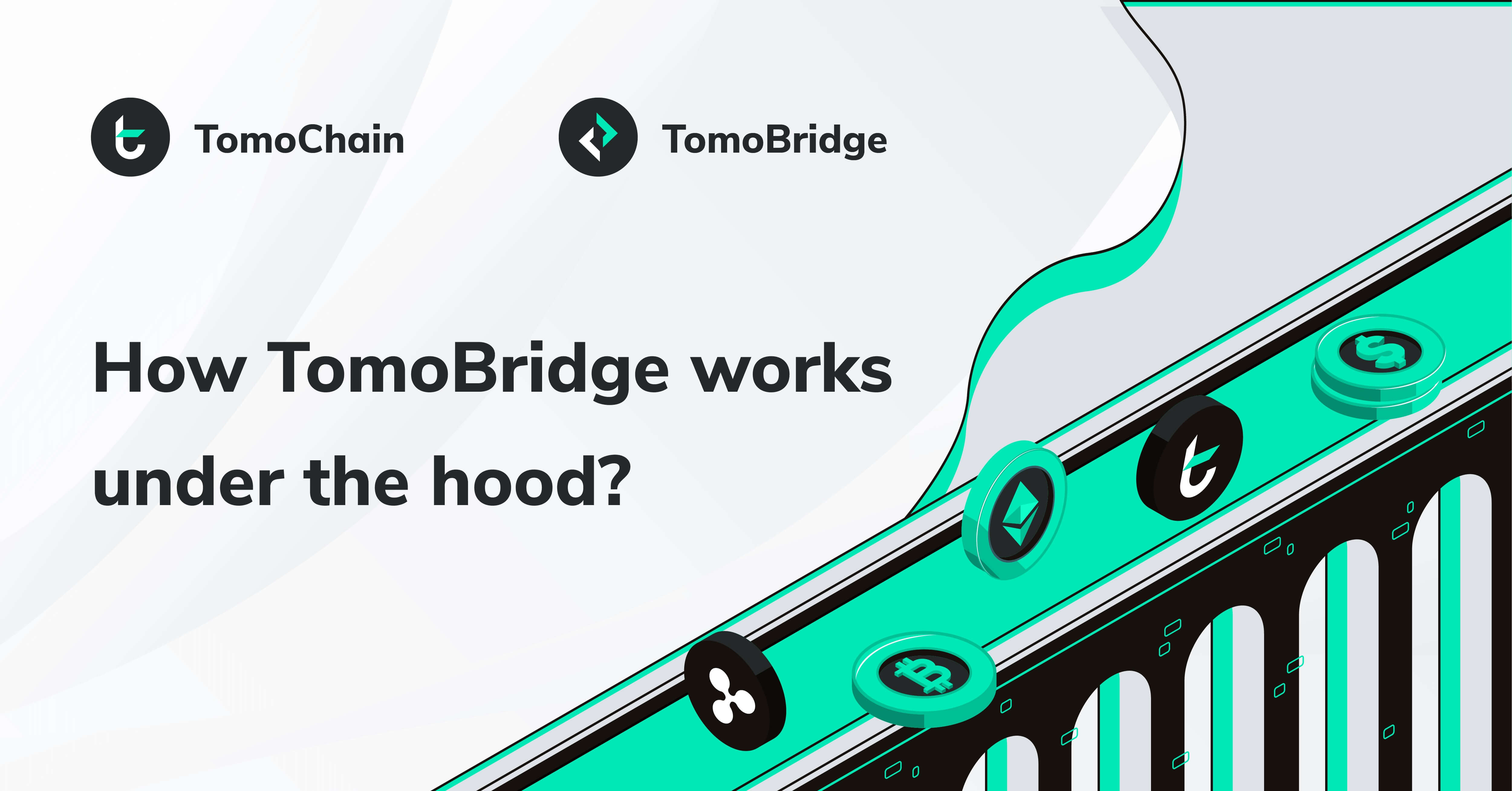 How to use TomoChain Bridge