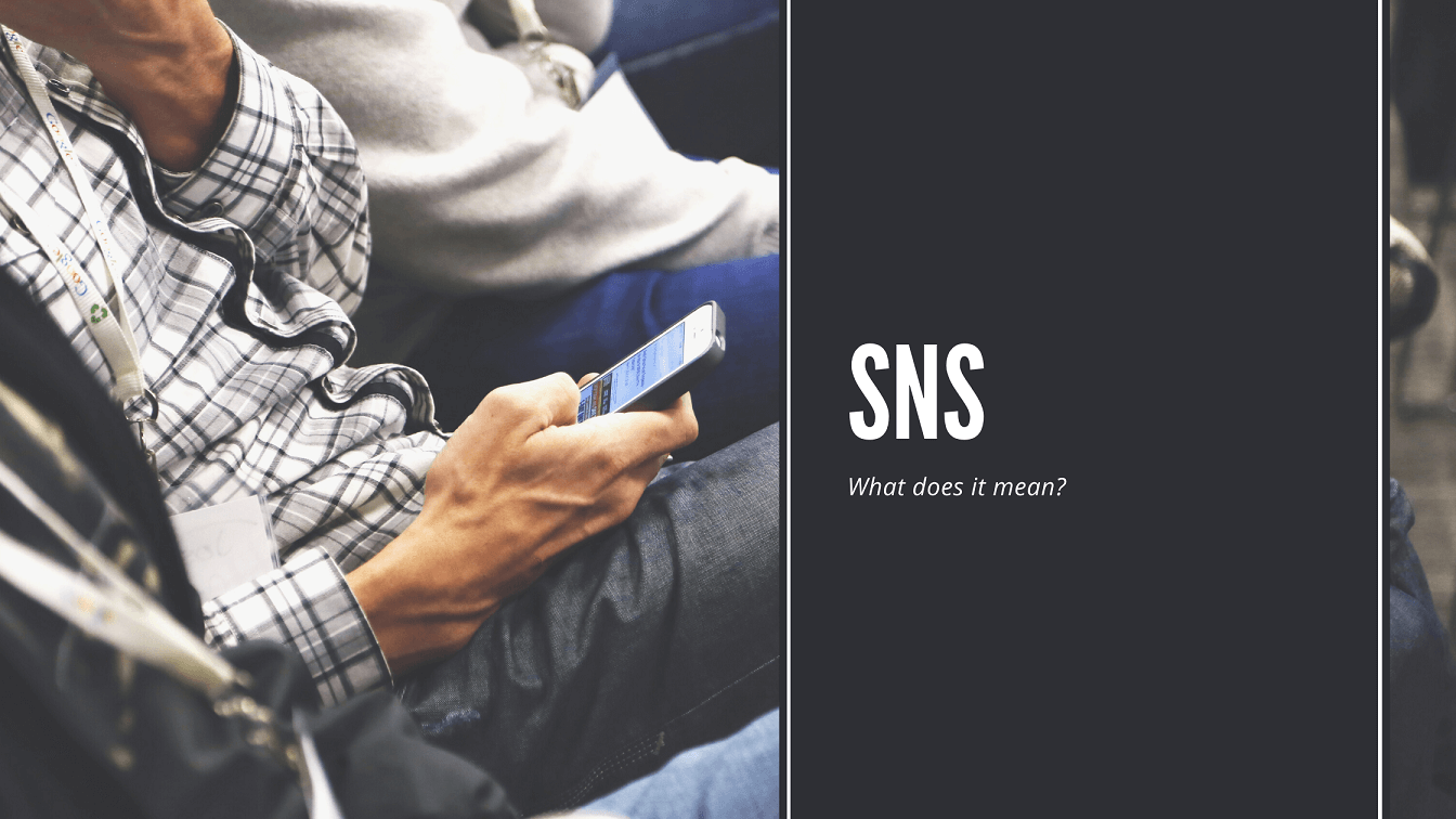 what-does-sns-mean-pantograph-blockchain-application